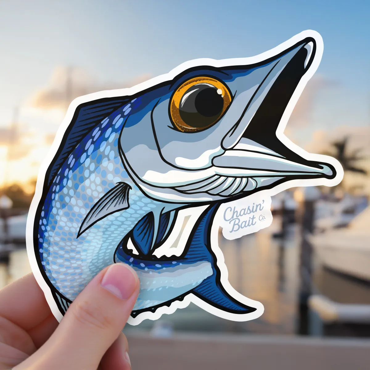 Mackerel-34-Marina