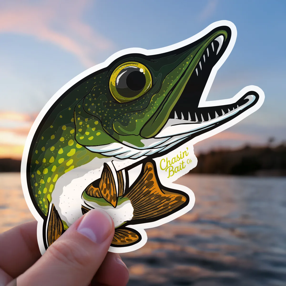 Northern Pike-11-Lake