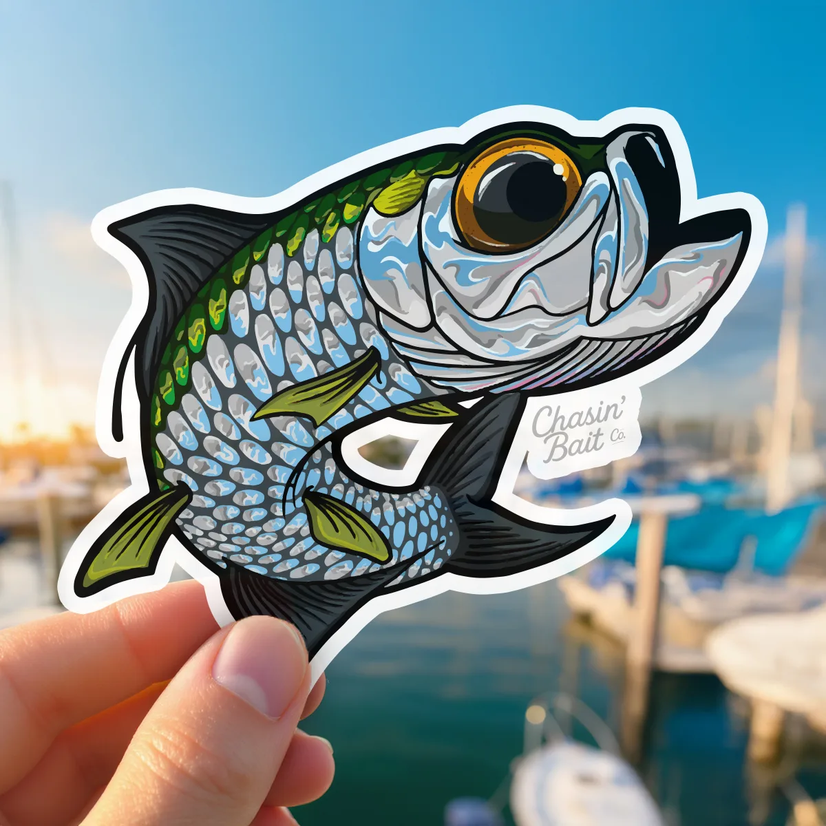 Tarpon-25-Marina