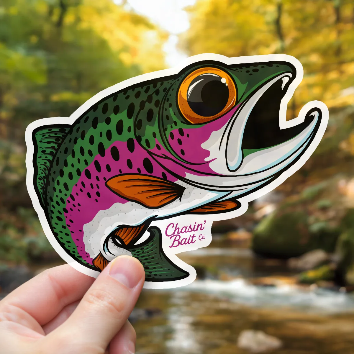 RainbowTrout-13-Stream