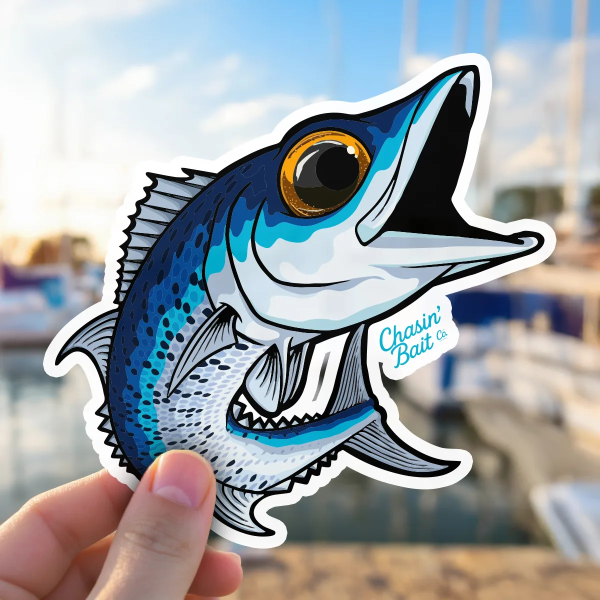Wahoo-27-Marina